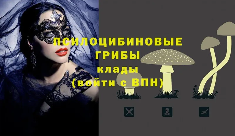 Псилоцибиновые грибы Magic Shrooms  Санкт-Петербург 